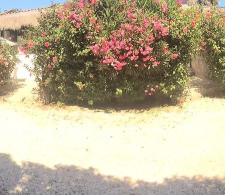 Cabañas Los Molles Exterior foto